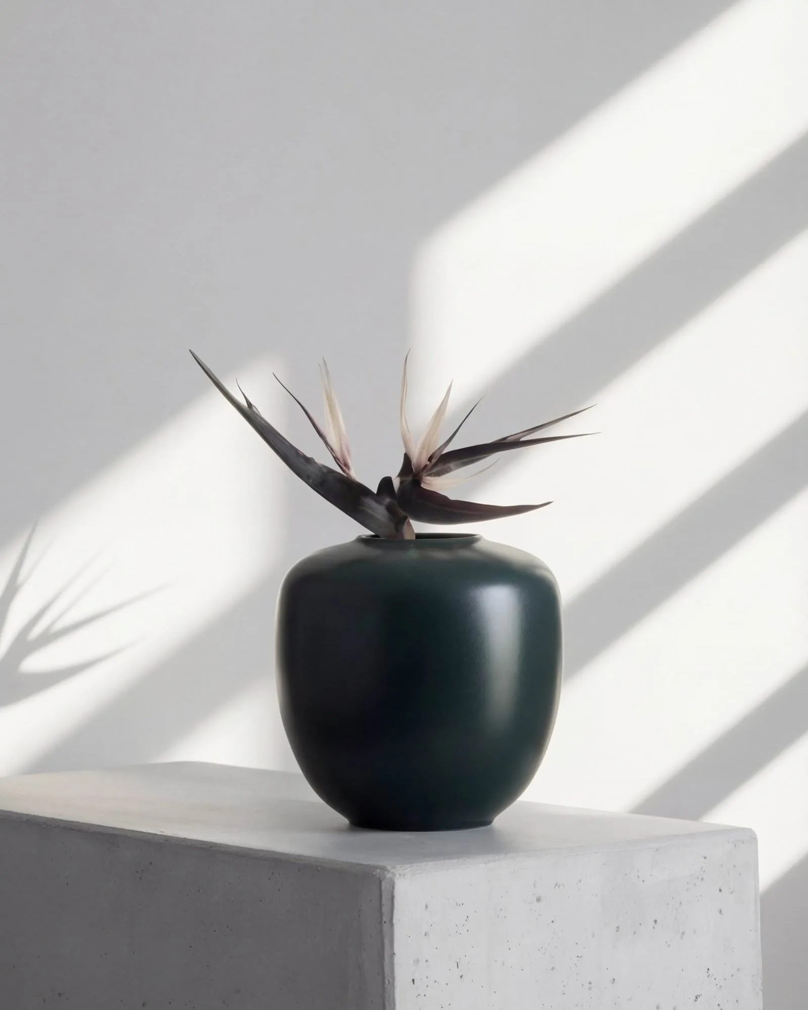 Sunao tray medium 30 cm, Dark green 101 Copenhagen