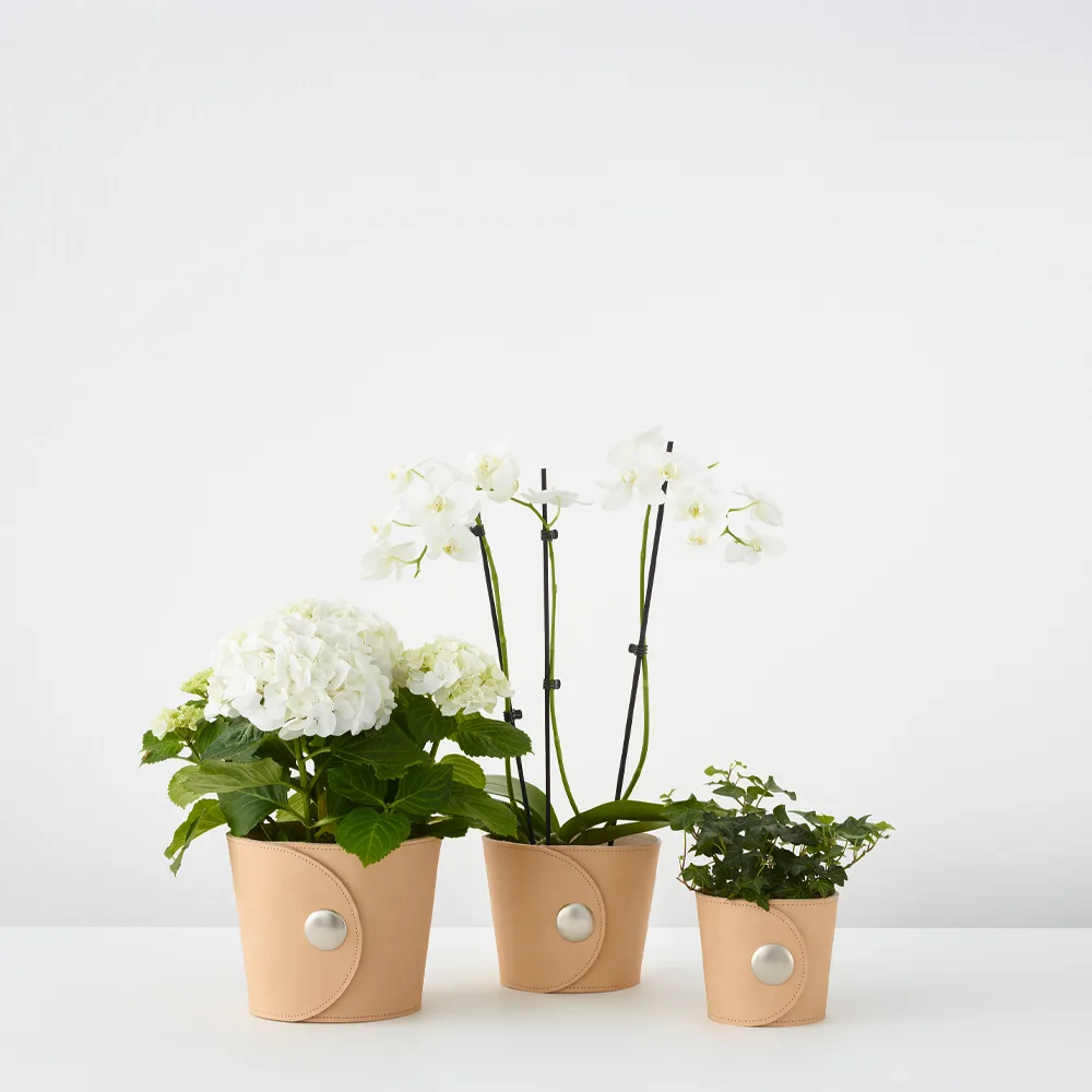 Hug flower pot, Light brown, h.15 cm Ø18 cm A2