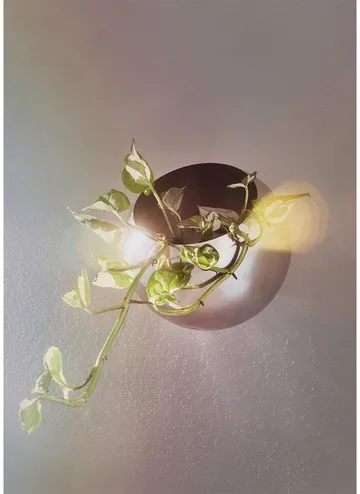 Globe flower pot wall Ø21 cm - Silver - AYTM