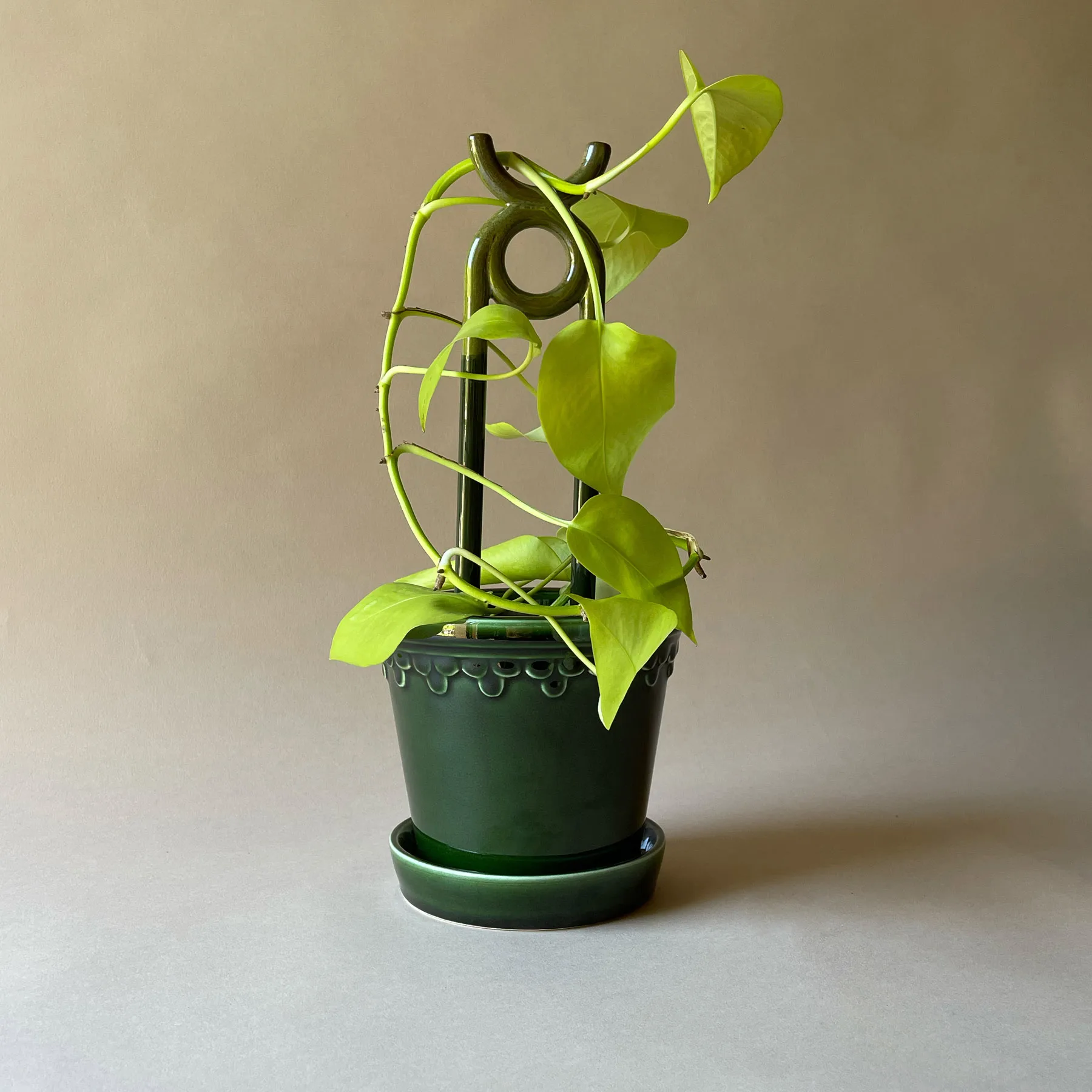 Folk Oni plant support, Moss green Bergs Potter