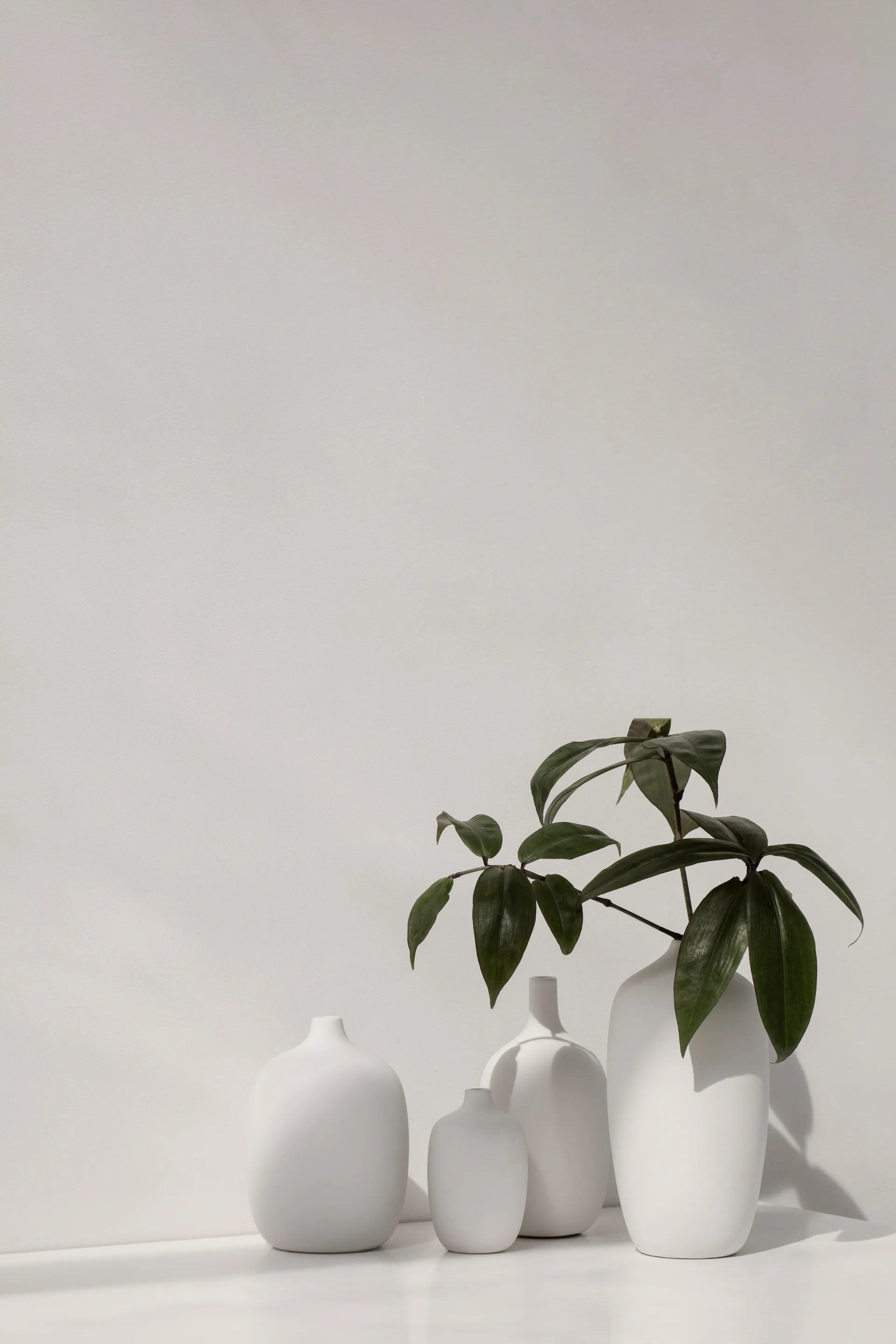 Ceola vase 18.5 cm, White blomus
