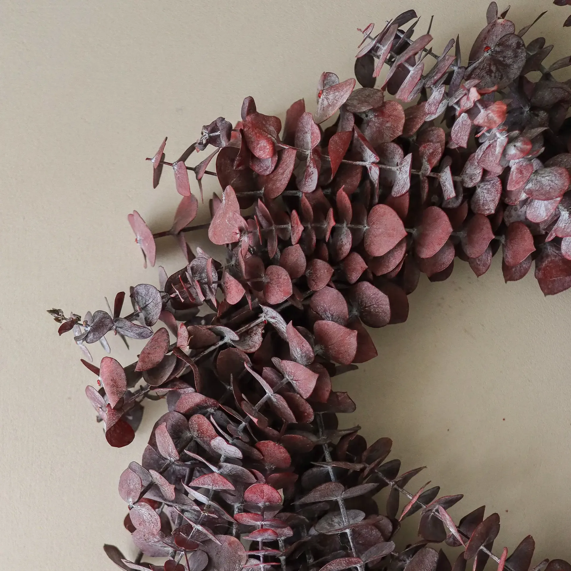 Eucalyptus Wreath wreath, Dark red, Ø40 cm Botané
