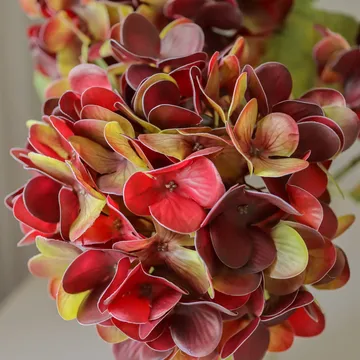 Hydrangea artificial flower - Deep burgundy, 60 cm, 1 pc - Botané