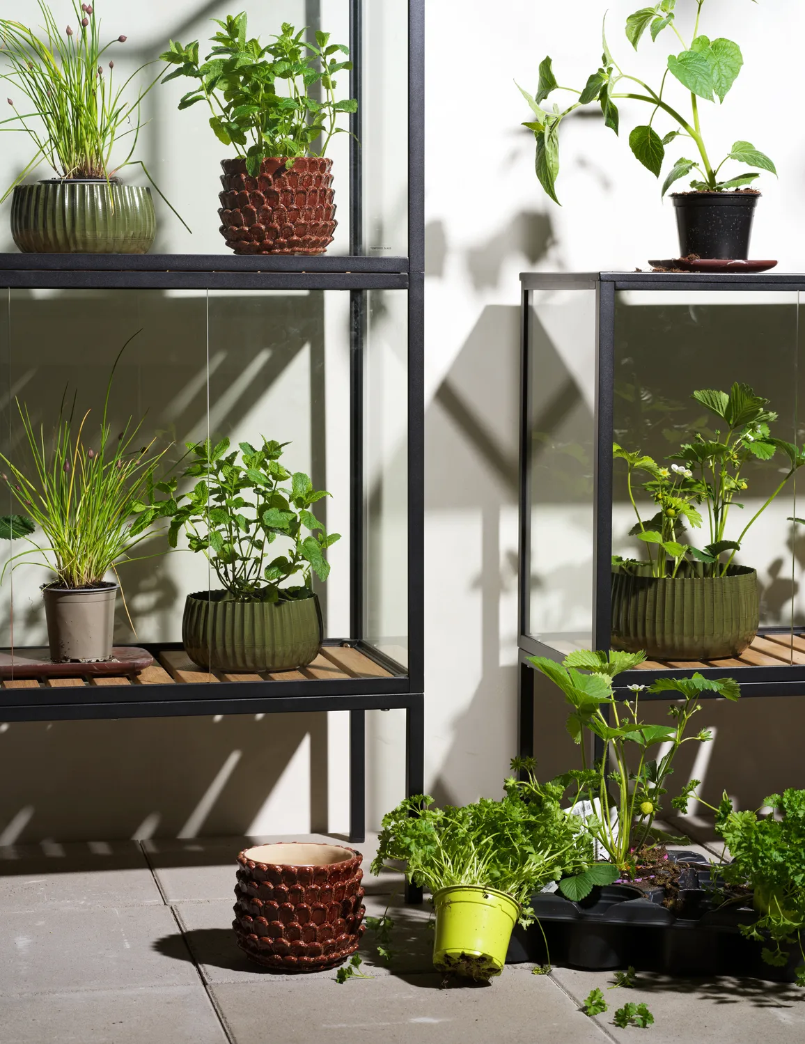 Grower Greens plant cabinet, Black, 81x82 cm Brafab