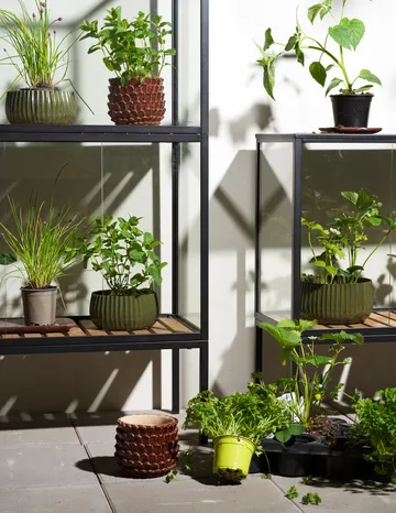 Grower Greens plant cabinet - Black, 81x82 cm - Brafab