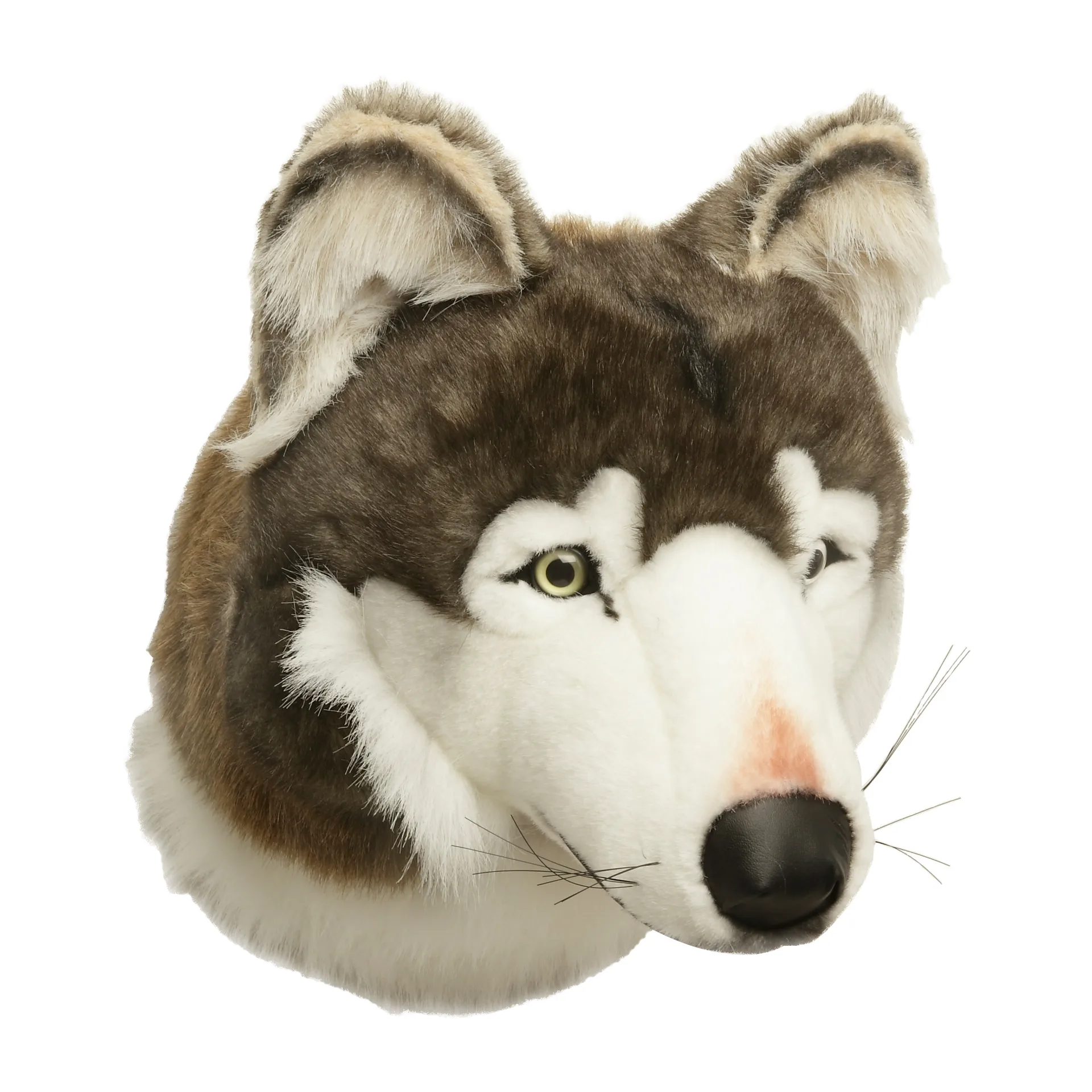 Wolf head for wall, Wolf Brigbys