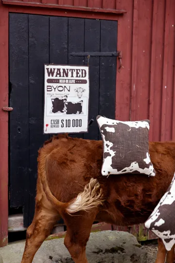 Anima cushion M 50x50 cm - Cow - Byon