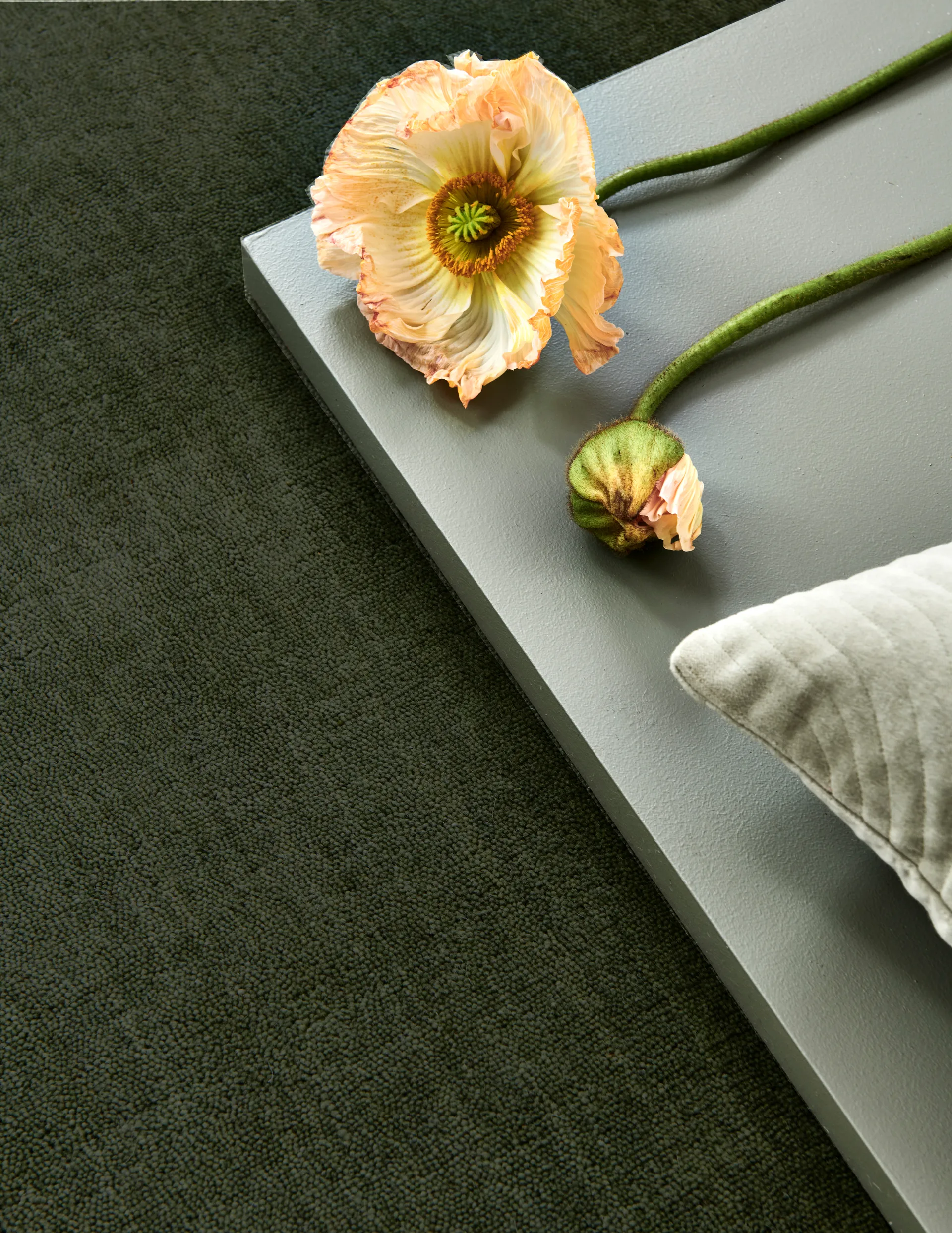 Solid rug, Green, 170x230 cm Classic Collection
