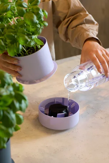 Billund self-watering herb pot - Lavender - Crushgrind
