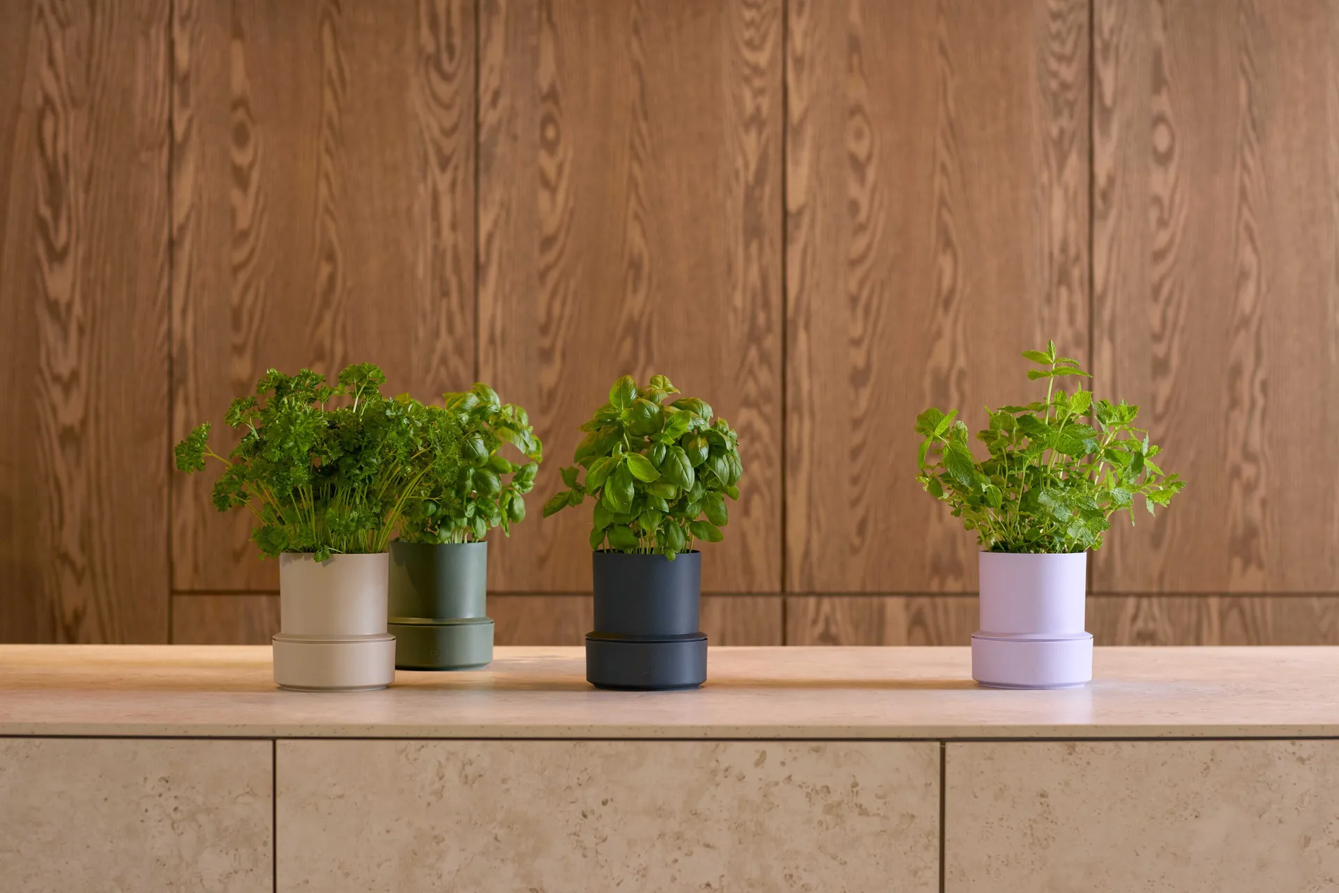 Billund self-watering herb pot, Lavender Crushgrind