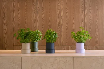 Billund self-watering herb pot - Lavender - Crushgrind