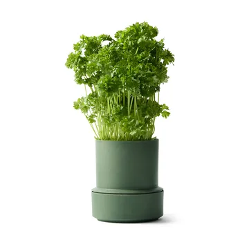 Billund self-watering herb pot - Parsley - Crushgrind