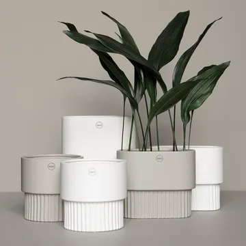 Front flower pot Ø16 - white - DBKD