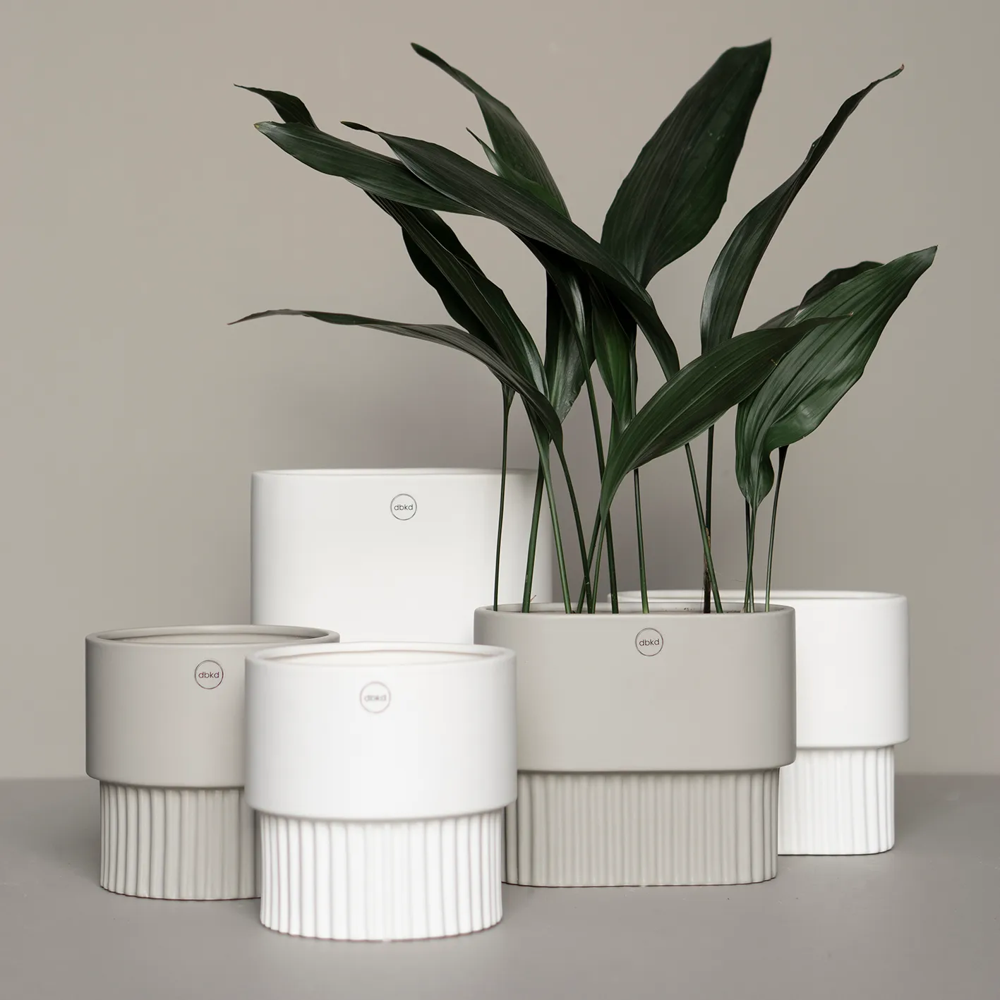 Front flower pot oval high, white DBKD
