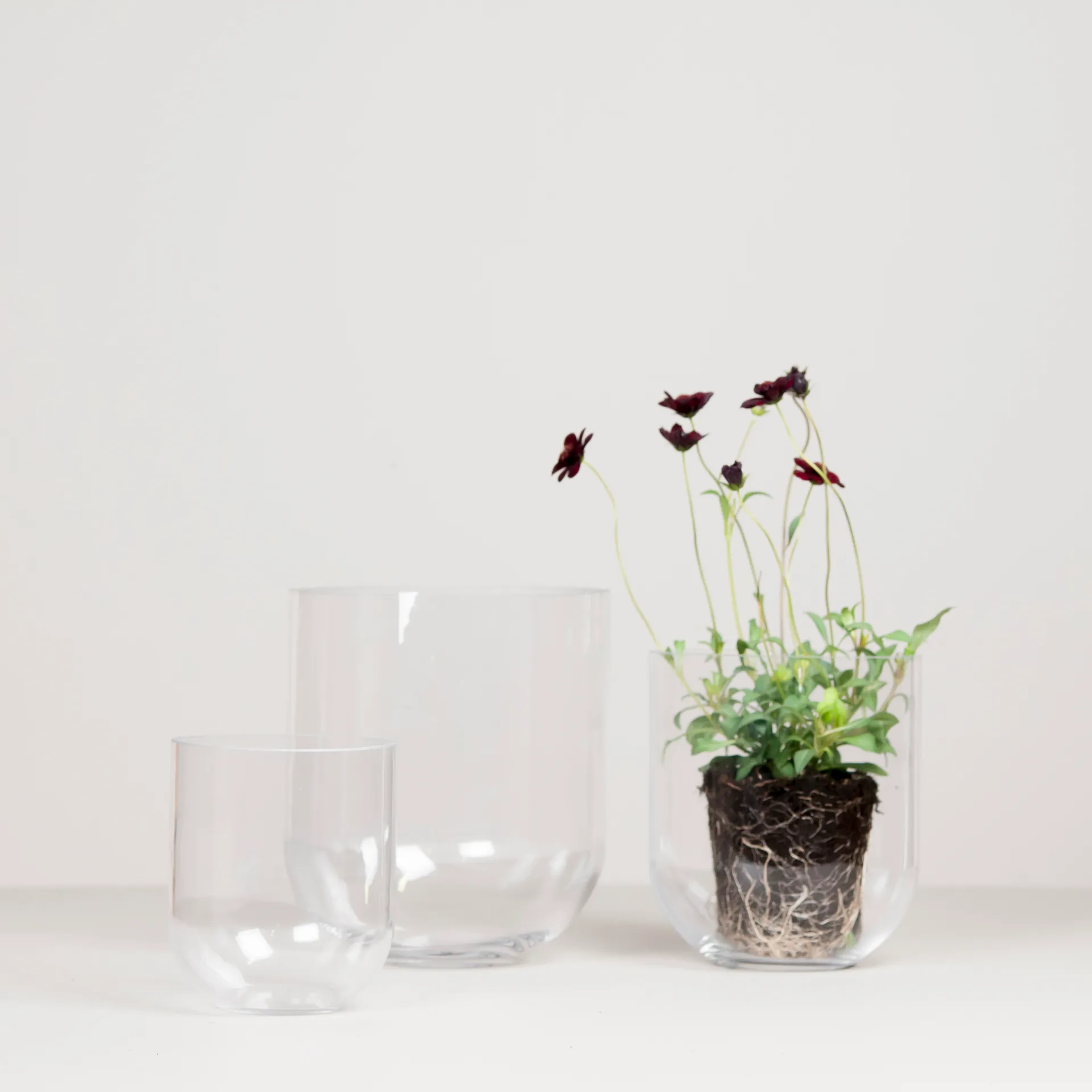 Simple glass vase medium, Clear DBKD