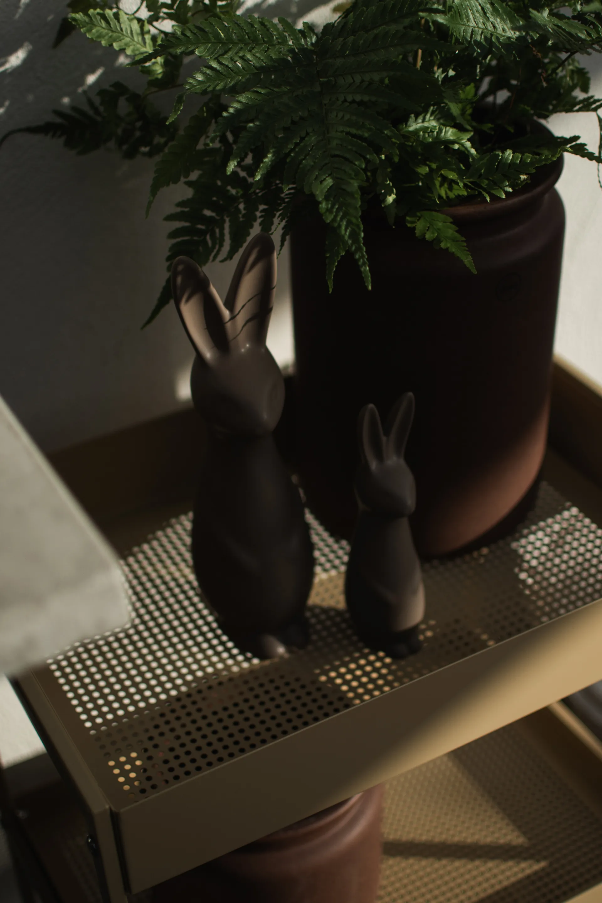 Swedish rabbit large, dust DBKD
