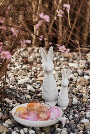 Swedish rabbit small - white - DBKD
