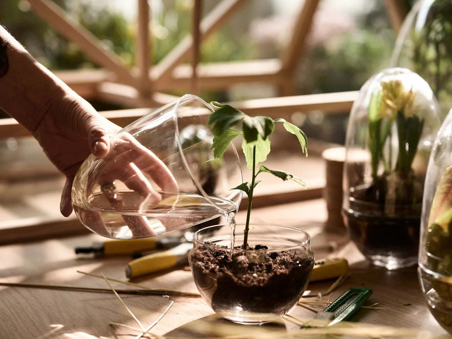 Grow greenhouse, Medium Ø11 cm Design House Stockholm