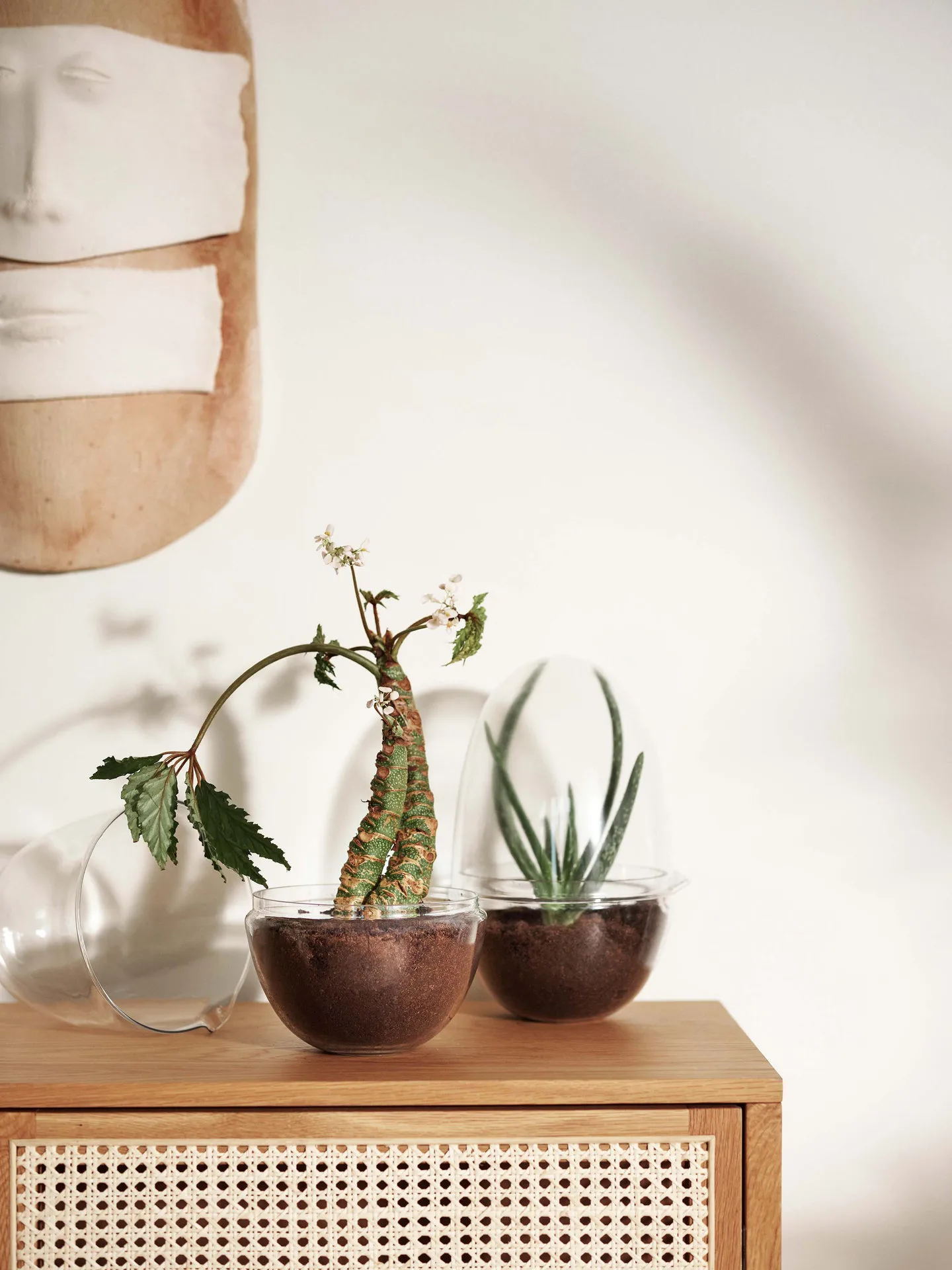Grow greenhouse, x-large Ø20 cm Design House Stockholm