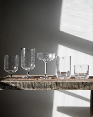 Ernst coupe glass bubbly glass 20 cl 2-pack - Clear - ERNST
