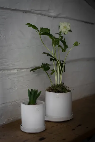 Ernst pot with saucer - White, Ø10x11 cm - ERNST