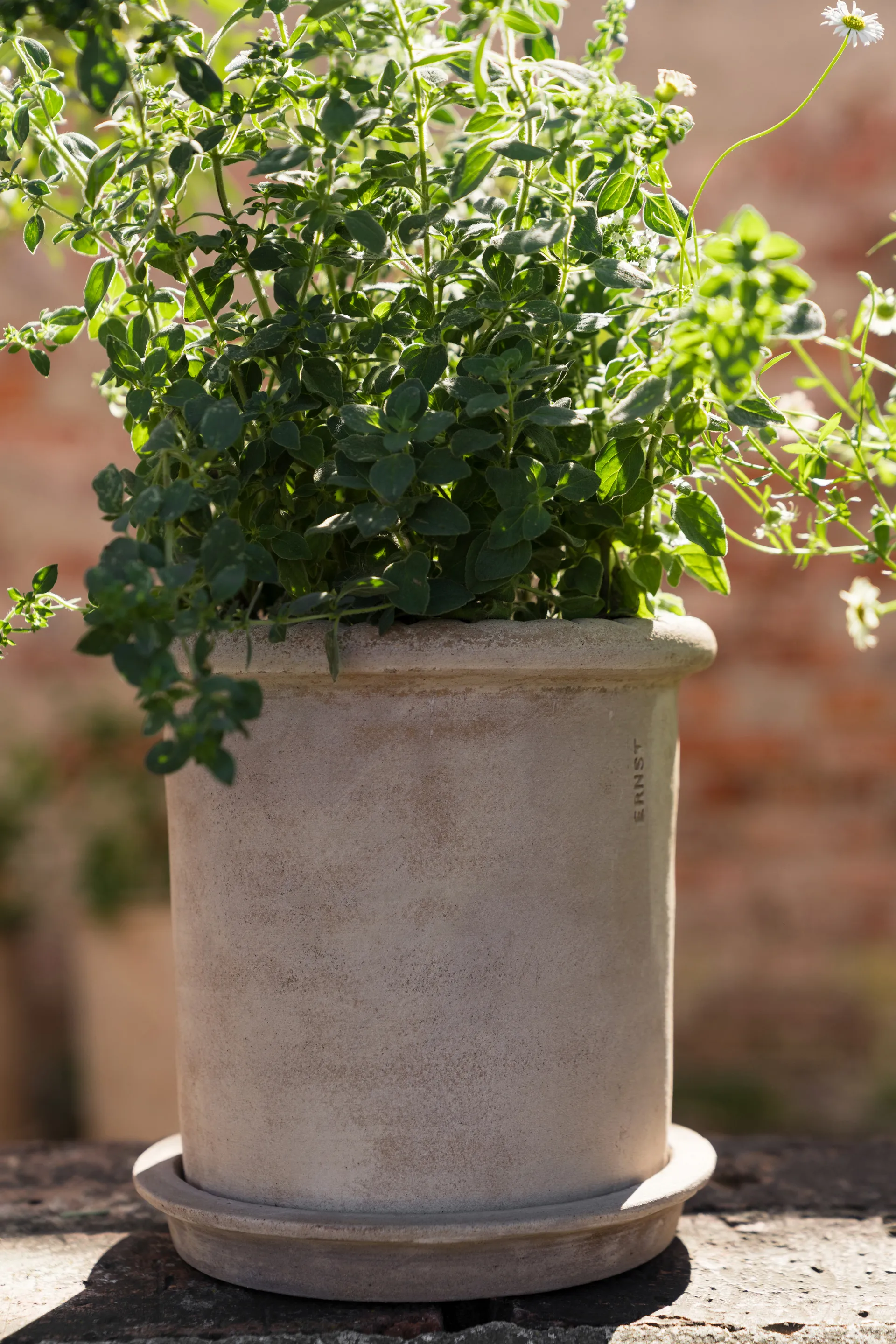 Ernst terracotta pot with saucer, Ø20x20 cm ERNST