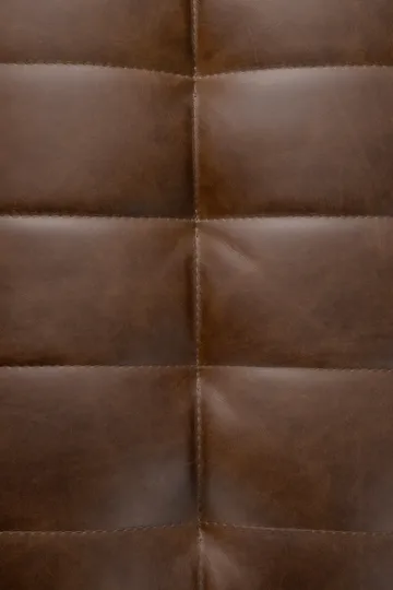 N701 armchair - Leather Chestnut - Ethnicraft