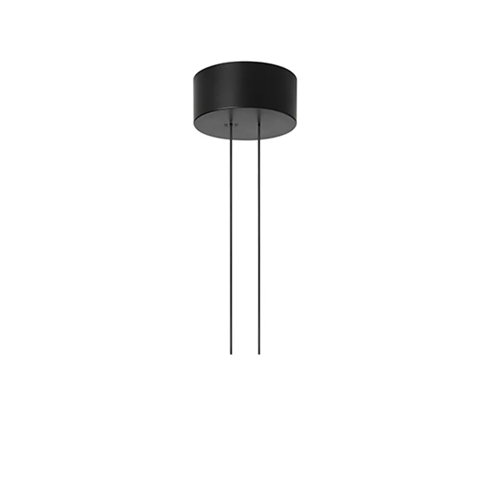 Arrangement Rose ceiling cup, Black, small Flos