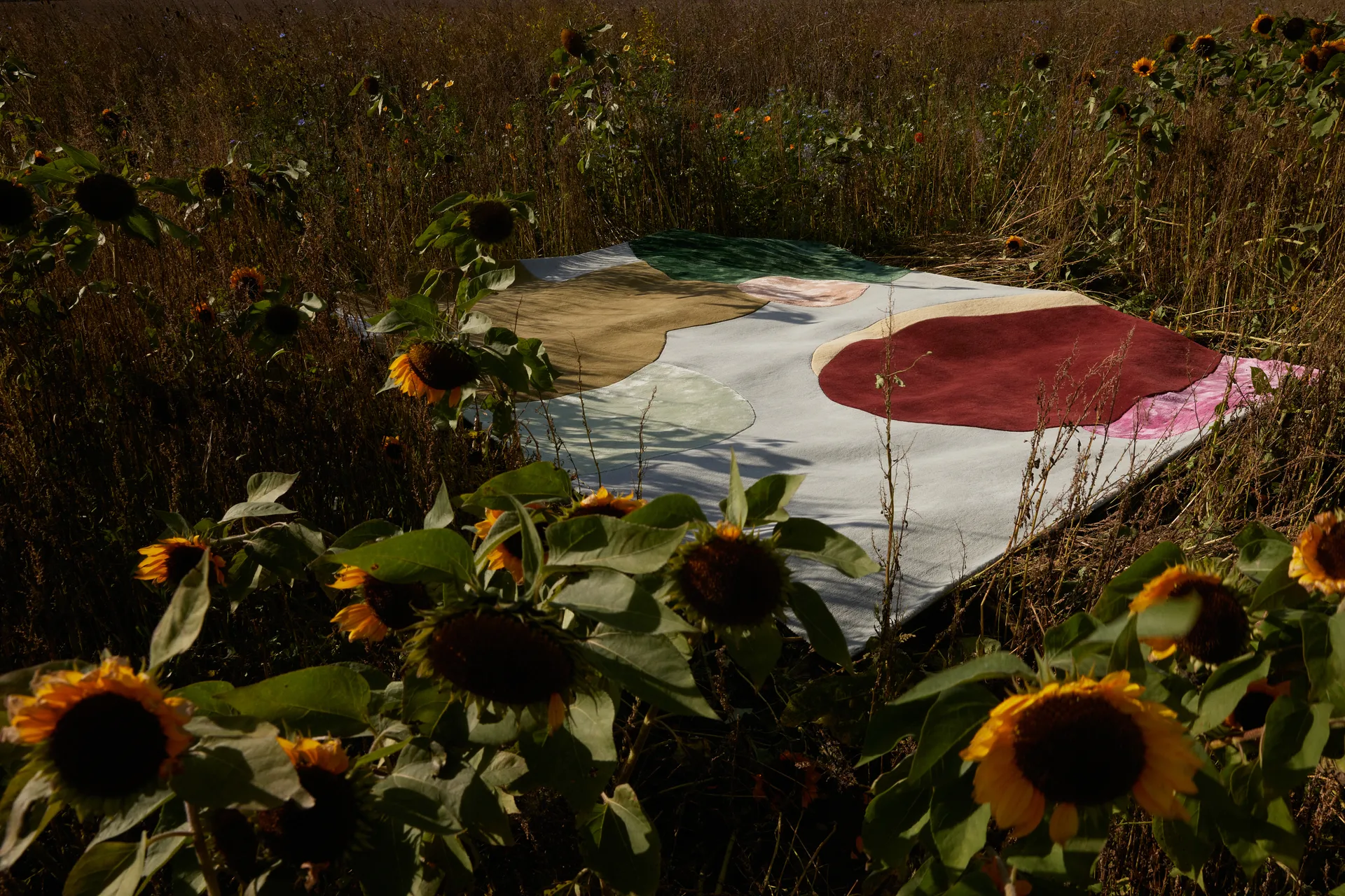 Sleeping Flower wool carpet, 200x300 cm Layered