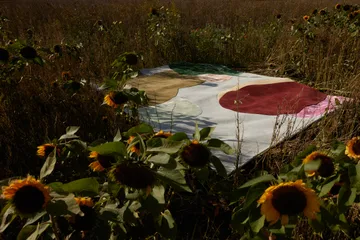 Sleeping Flower wool carpet - 250x350 cm - Layered