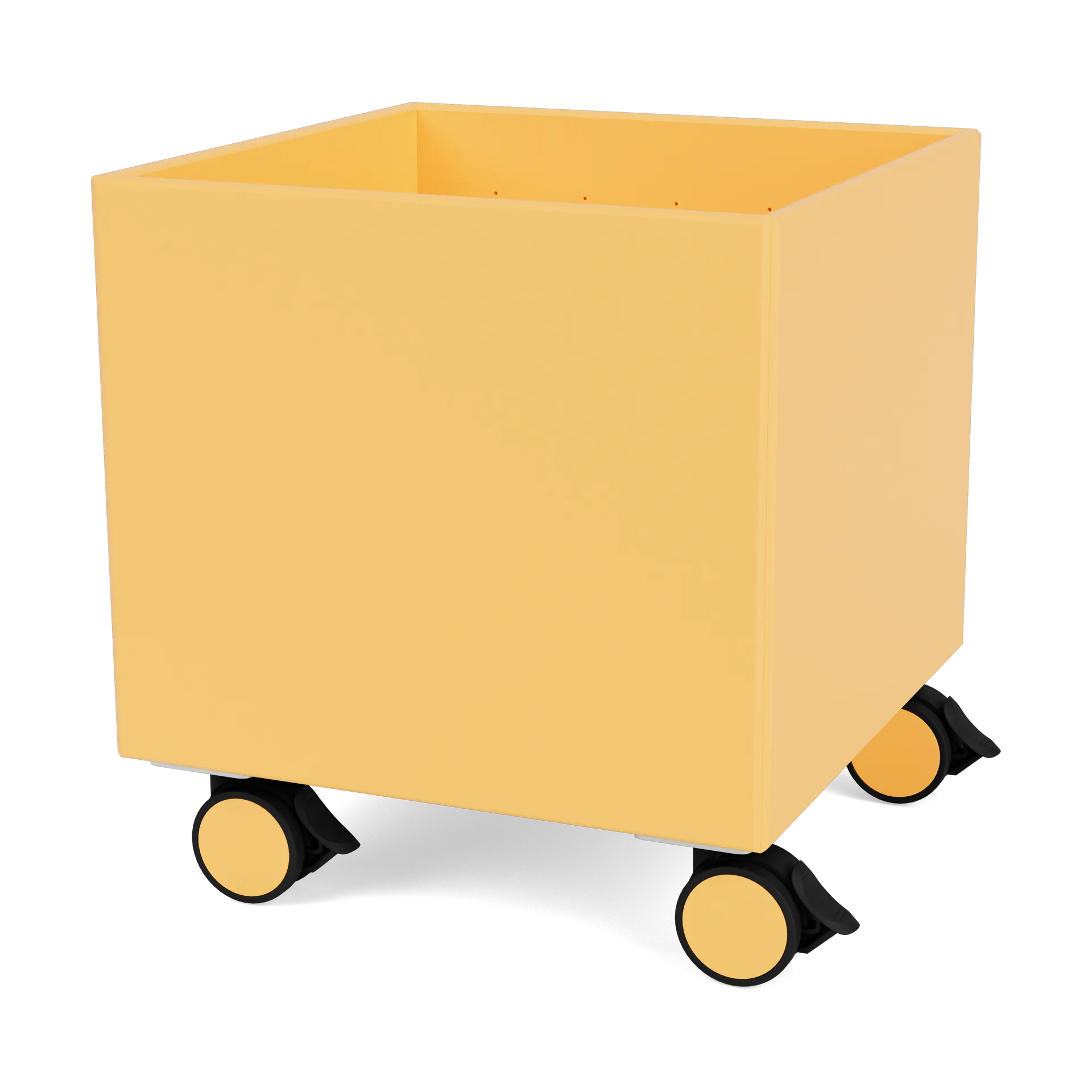 Colour Box I – S6161, Acacia Montana