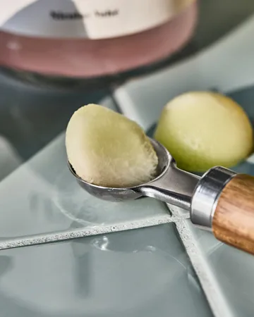 Melon scoop - Nature - Nicolas Vahé