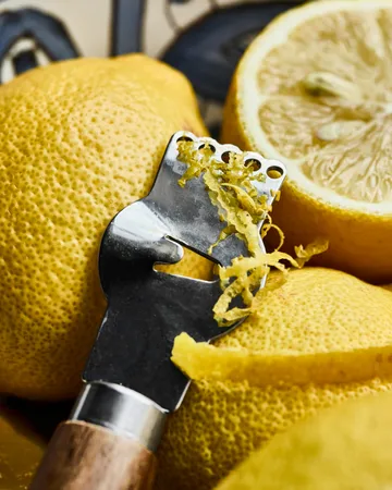 Nicolas Vahé zester grater - Nature - Nicolas Vahé