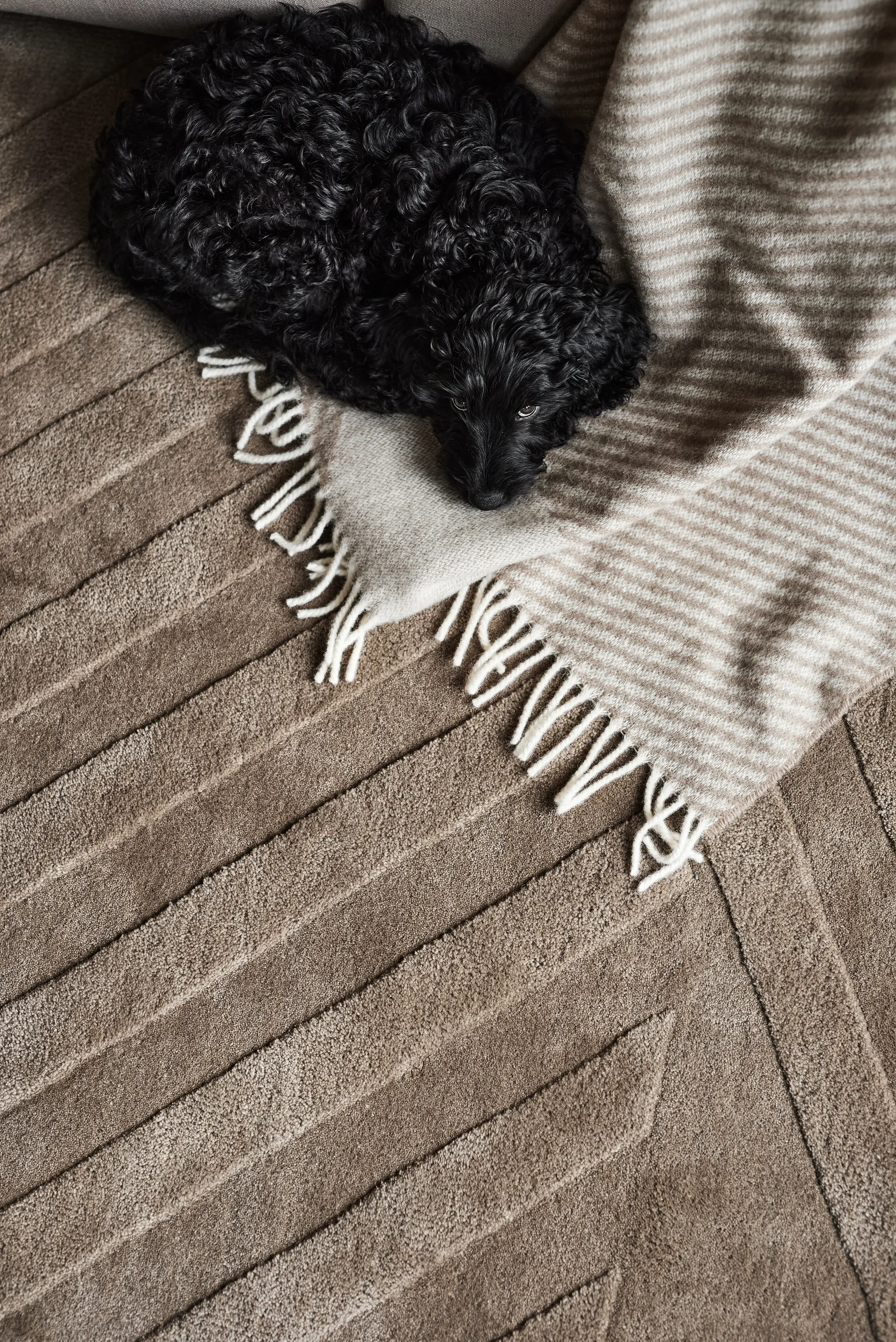 Levels Stripes wool rug, Taupe, 200x300 cm NJRD
