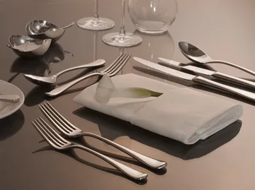Radford cutlery mirror - 42 pieces - Robert Welch