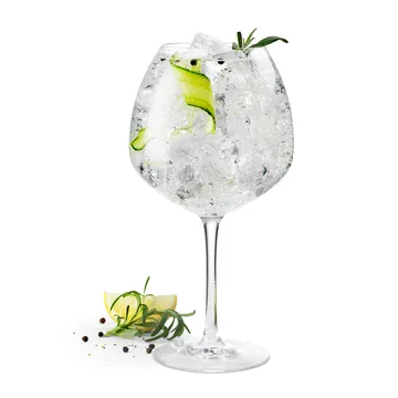 Premium gin glass 93 cl 2-pack - Clear - Rosendahl