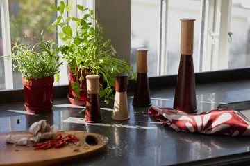 Edith kitchen towel 50x70 cm 2-pack - Wine red - Sagaform