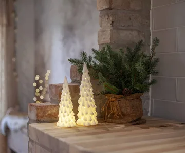 Indoor winter décor - White spruce, 2 pieces - Star Trading