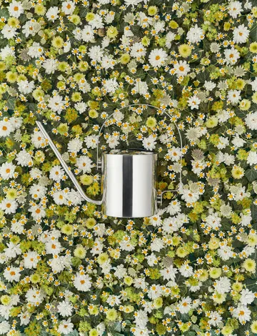 Original watering can 1.7 l - stainless steel - Stelton