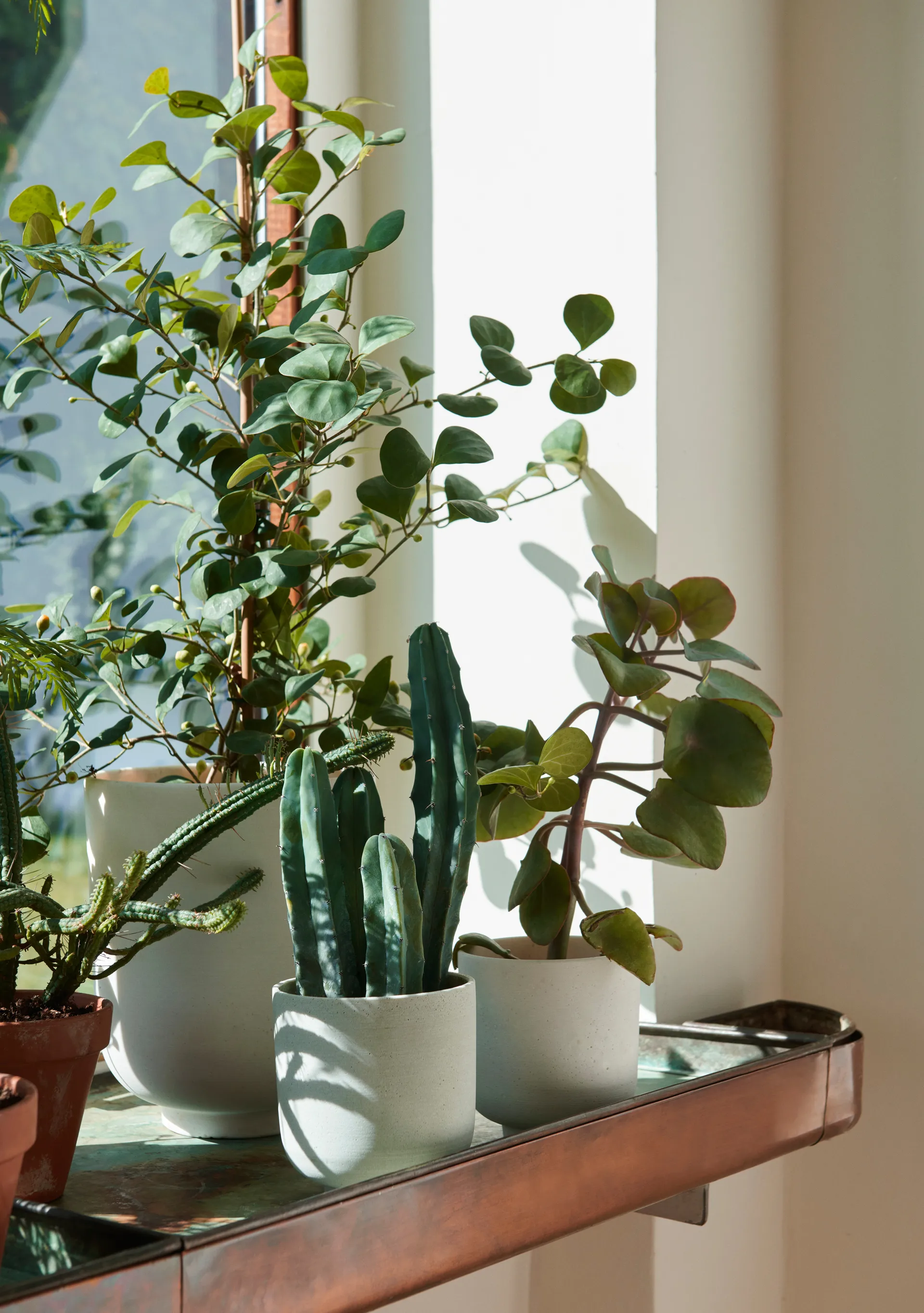 Collect SC72 flower pot tall Ø20 cm, Milk &Tradition