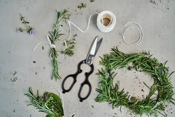 Zwilling universal scissors 20 cm - Black - Zwilling