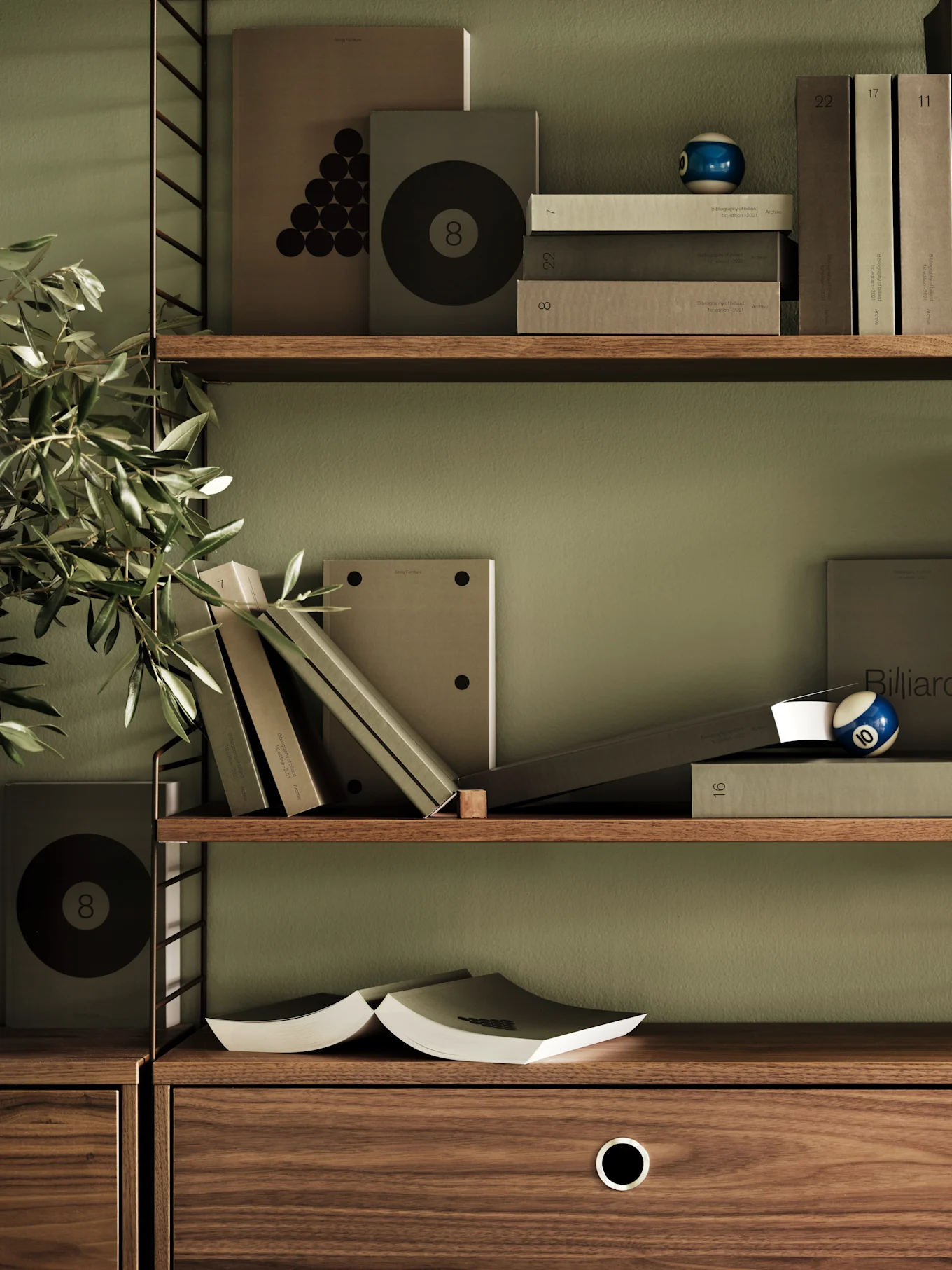 Wooden shelves against a green wall, displaying books with billiard graphics, a blue billiard ball, and a green plant.