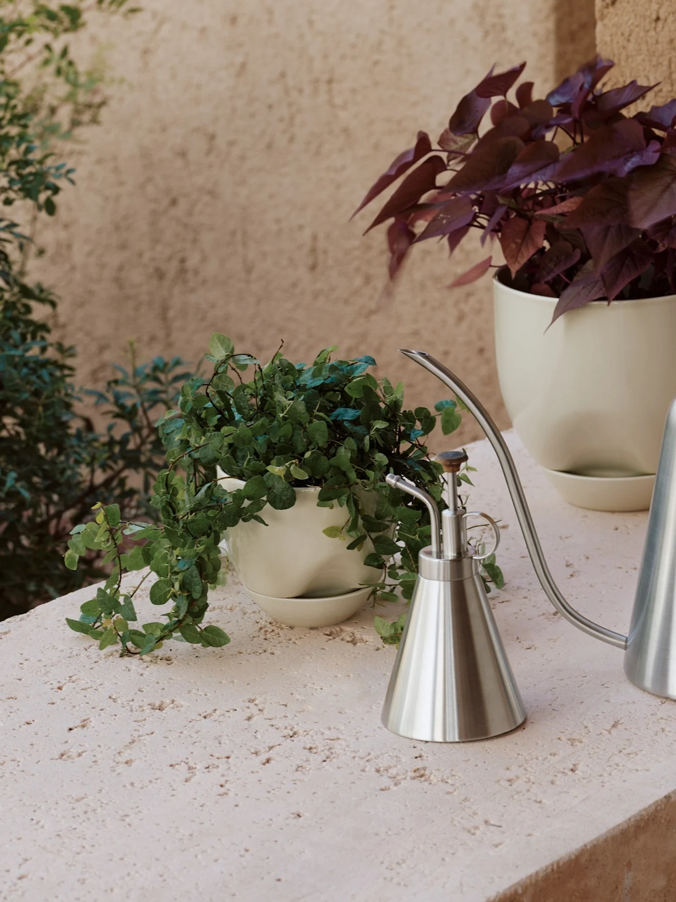 Two potted plants and two brushed metal watering cans on a textured, light-colored surface.